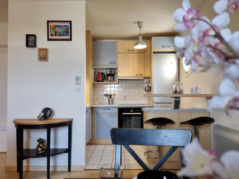 Appartement Cosy Centre Brie Comte Robert エクステリア 写真